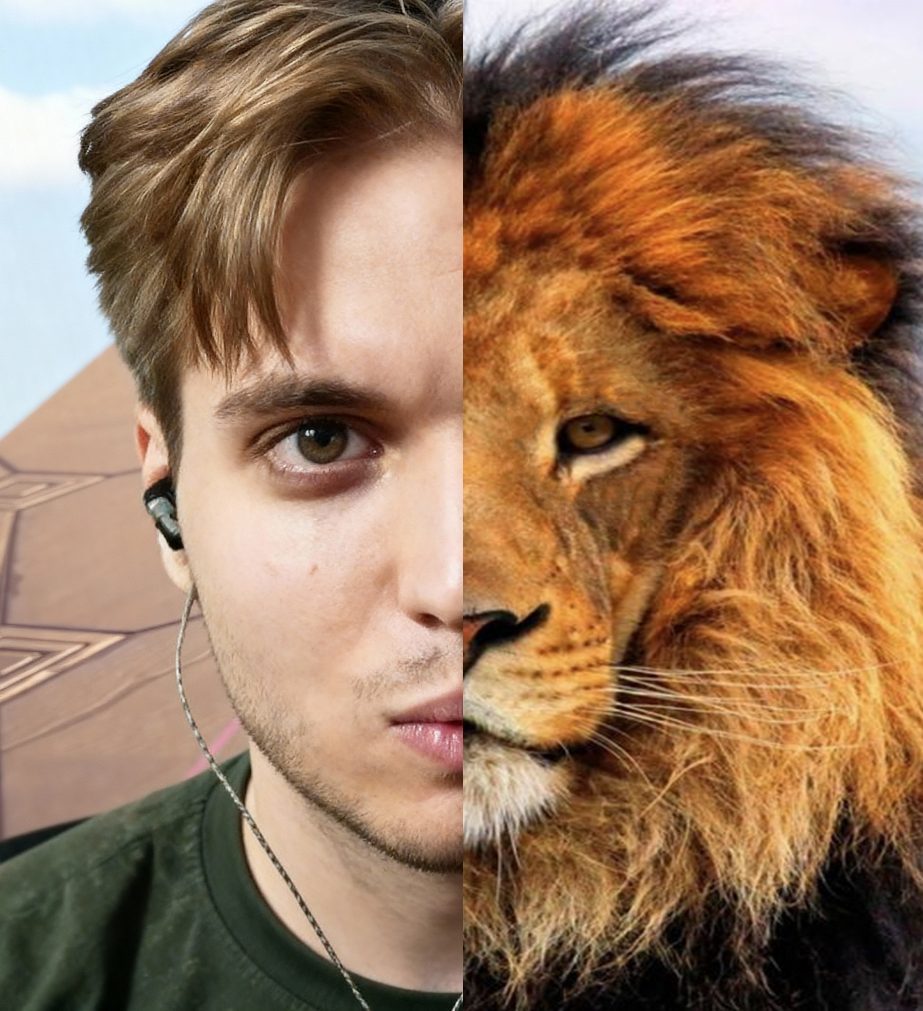 Misslienka meme 9